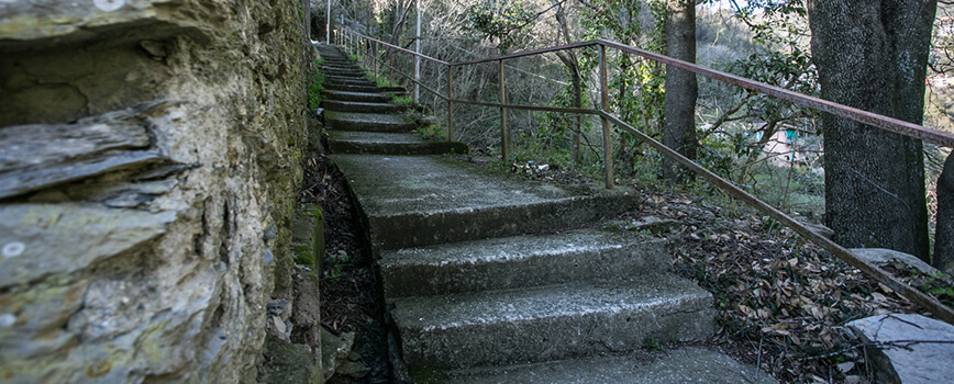 b&b Passo Selvatico