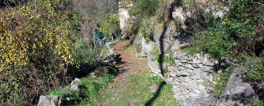 Pfad in der Nähe von Passo Selvatico