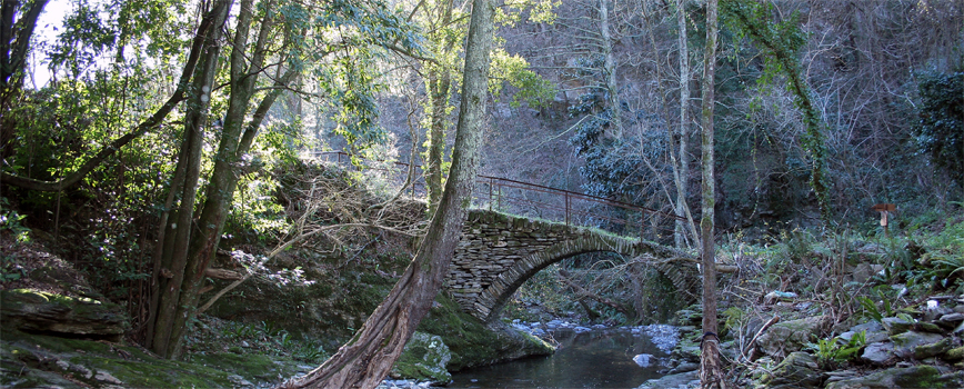 Kleine Römerbrücke über den Fluss Recco 